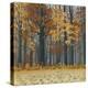 Autumn Wood-Timothy Arzt-Stretched Canvas