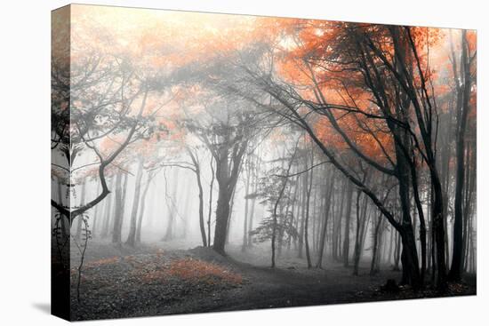 Autumn Woods-PhotoINC-Premier Image Canvas