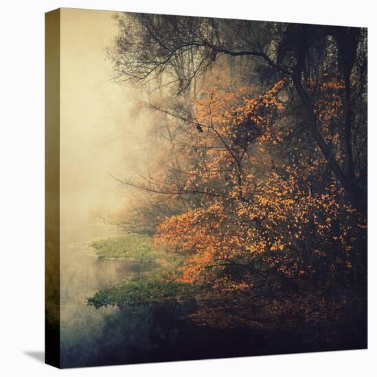 Autumn Woods-Philippe Sainte-Laudy-Premier Image Canvas