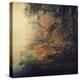 Autumn Woods-Philippe Sainte-Laudy-Premier Image Canvas