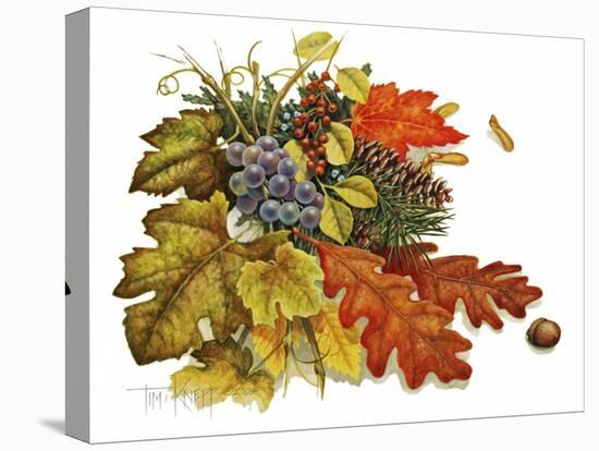 Autumn-Tim Knepp-Premier Image Canvas