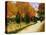 'Autumnal Garden' or 'The Public Park', 1888-Vincent van Gogh-Premier Image Canvas