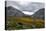 Autumnal Grass and Cloud Gap in the Lafatscherjoch, View at Speckkarspitze and Lafatscher, View of -Rolf Roeckl-Premier Image Canvas