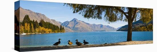 Autumnal Lake Wakatipu at Queenstown, Otago, South Island, New Zealand, Pacific-Matthew Williams-Ellis-Premier Image Canvas