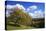 Autumnal Orchard Meadow at the Sauerberghof Near Sauerthal in the Nature Reserve Rhine - Taunus-Uwe Steffens-Premier Image Canvas