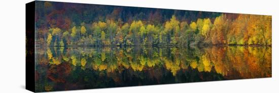 Autumnal Silence-Burger Jochen-Premier Image Canvas