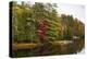 Autumnal trees along river, Muskoka, Ontario, Canada-Panoramic Images-Premier Image Canvas