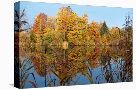 Autumnal trees reflecting in lake, Penzberg, Germany-Konrad Wothe-Premier Image Canvas