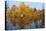 Autumnal trees reflecting in lake, Penzberg, Germany-Konrad Wothe-Premier Image Canvas