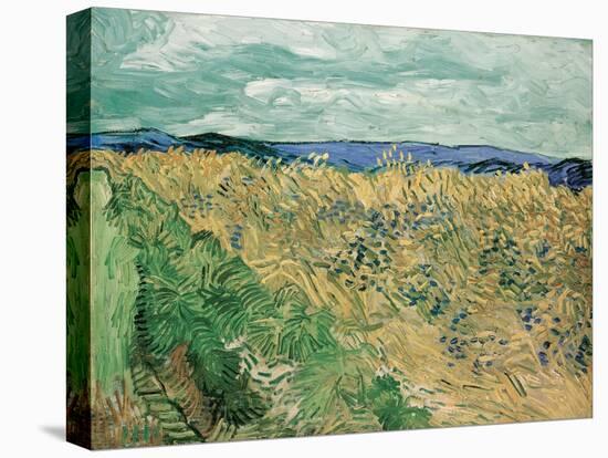 Auvers-Sur-Oise, 1890-Vincent van Gogh-Premier Image Canvas