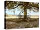 Aux Arbeils Oak-Colby Chester-Premier Image Canvas