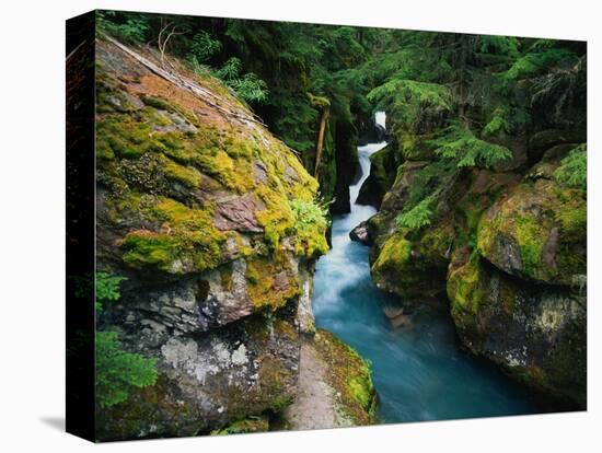 Avalanche Creek-James Randklev-Premier Image Canvas