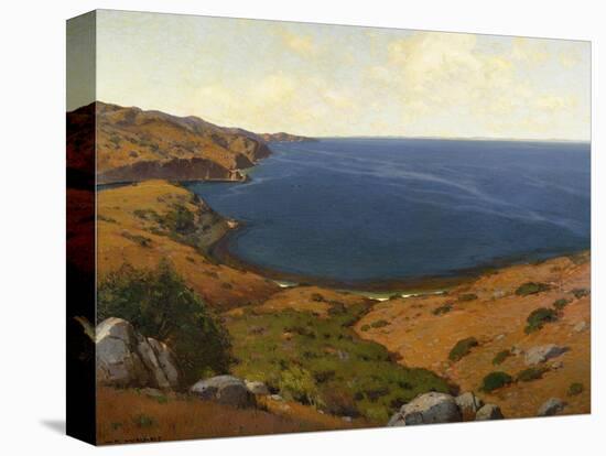 Avalon Catalina-William Wendt-Stretched Canvas