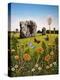 Avebury, 1983-Frances Broomfield-Premier Image Canvas