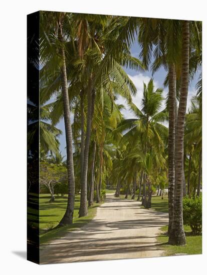 Avenue of Palms, Musket Cove Island Resort, Malolo Lailai Island, Mamanuca Islands, Fiji-David Wall-Premier Image Canvas