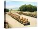 Avenue of Ram-Headed Sphinxes, Temple of Amun-Re, Karnak, Luxor, Egypt, 20th Century-null-Premier Image Canvas