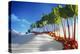 Avenue of Rhubarb Sticks and Fruit in a Sugar Desert-Hartmut Seehuber-Premier Image Canvas