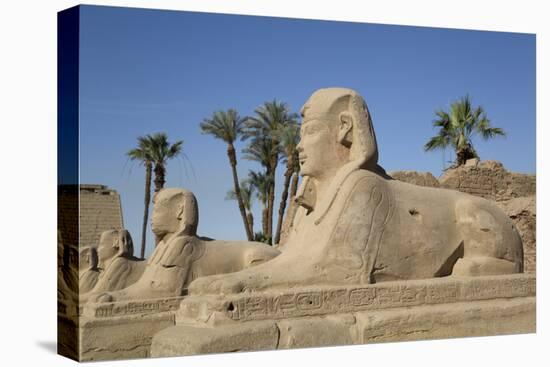 Avenue of Sphinxes, Luxor Temple, Luxor, Thebes, Egypt, North Africa, Africa-Richard Maschmeyer-Premier Image Canvas