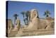 Avenue of Sphinxes, Luxor Temple, Luxor, Thebes, Egypt, North Africa, Africa-Richard Maschmeyer-Premier Image Canvas