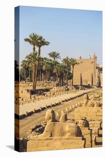 Avenue of Sphinxes, Luxor Temple, UNESCO World Heritage Site, Luxor, Egypt, North Africa, Africa-Jane Sweeney-Premier Image Canvas