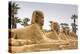 Avenue of Sphinxes, Luxor Temple, UNESCO World Heritage Site, Luxor, Egypt, North Africa, Africa-Jane Sweeney-Premier Image Canvas