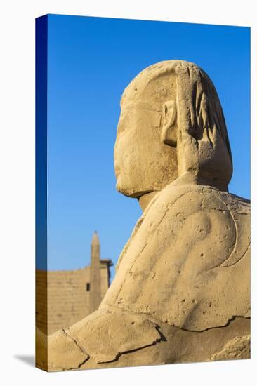 Avenue of Sphinxes, Luxor Temple, UNESCO World Heritage Site, Luxor, Egypt, North Africa, Africa-Jane Sweeney-Premier Image Canvas