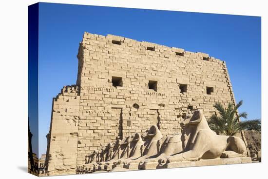 Avenue of Sphinxes, Luxor Temple, UNESCO World Heritage Site, Luxor, Egypt, North Africa, Africa-Jane Sweeney-Premier Image Canvas