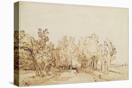 Avenue with a Footpath and a Farmhouse on the Left-Rembrandt van Rijn-Premier Image Canvas