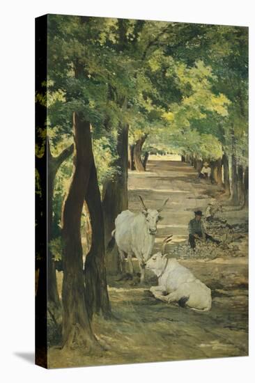 Avenue with Oxen and Stonebreaker-Giovanni Fattori-Premier Image Canvas
