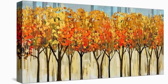 Avenue-Mark Chandon-Stretched Canvas