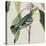 Avian Crop IV-John James Audubon-Stretched Canvas