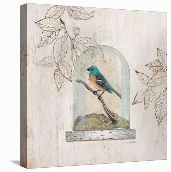 Aviary Display-Arnie Fisk-Stretched Canvas