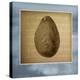 Avocado in Three 01-Kory Fluckiger-Premier Image Canvas