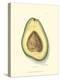 Avocado-null-Stretched Canvas