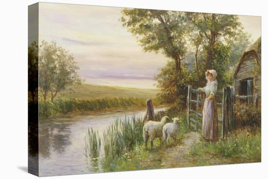 Awaiting the Return of the Sheep in the Sunset-Ernest Walbourn-Premier Image Canvas