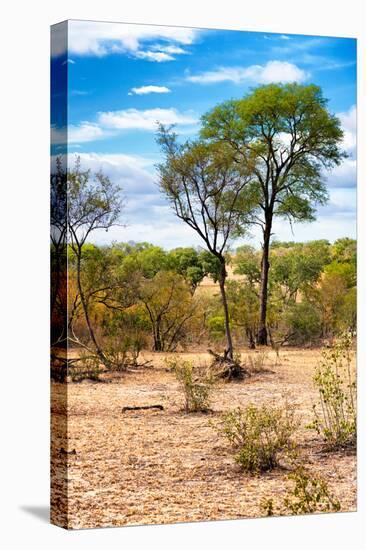 Awesome South Africa Collection - African Savanna Landscape II-Philippe Hugonnard-Premier Image Canvas