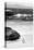 Awesome South Africa Collection B&W-Penguin at Boulders Beach-Philippe Hugonnard-Premier Image Canvas