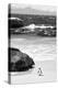 Awesome South Africa Collection B&W-Penguin at Boulders Beach-Philippe Hugonnard-Premier Image Canvas