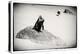 Awesome South Africa Collection B&W - Penguin Lovers-Philippe Hugonnard-Premier Image Canvas