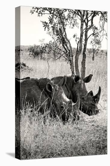 Awesome South Africa Collection B&W - Two White Rhinoceros II-Philippe Hugonnard-Premier Image Canvas