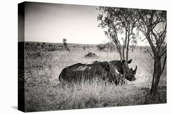 Awesome South Africa Collection B&W - Two White Rhinoceros-Philippe Hugonnard-Premier Image Canvas