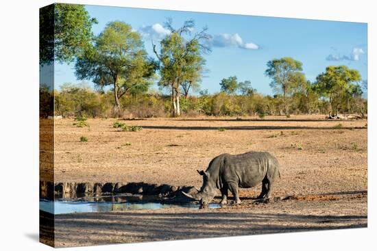 Awesome South Africa Collection - Black Rhinoceros and Savanna Landscape-Philippe Hugonnard-Premier Image Canvas