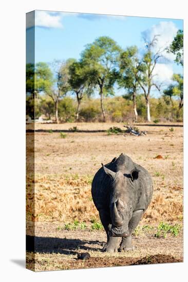 Awesome South Africa Collection - Black Rhinoceros-Philippe Hugonnard-Premier Image Canvas