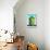 Awesome South Africa Collection - Colorful Beach Hut Cape Town - Lime & Greensea-Philippe Hugonnard-Premier Image Canvas displayed on a wall