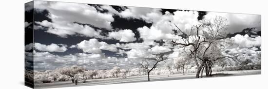 Awesome South Africa Collection Panoramic - Another Look Savannah II-Philippe Hugonnard-Premier Image Canvas