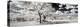 Awesome South Africa Collection Panoramic - Another Look Savannah-Philippe Hugonnard-Premier Image Canvas