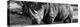 Awesome South Africa Collection Panoramic - Black Rhino B&W II-Philippe Hugonnard-Premier Image Canvas