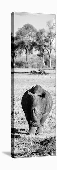 Awesome South Africa Collection Panoramic - Black Rhino B&W-Philippe Hugonnard-Premier Image Canvas