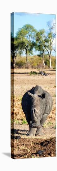 Awesome South Africa Collection Panoramic - Black Rhino-Philippe Hugonnard-Premier Image Canvas