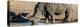 Awesome South Africa Collection Panoramic - Black Rhinoceros-Philippe Hugonnard-Premier Image Canvas
